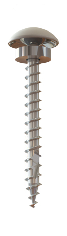 Steel Siding Screw angled straight.jpg