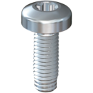 automotive screws